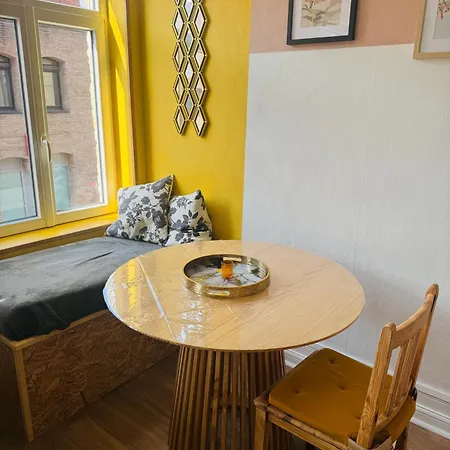 Cosy Et Lumineux Centre Апартаменты *